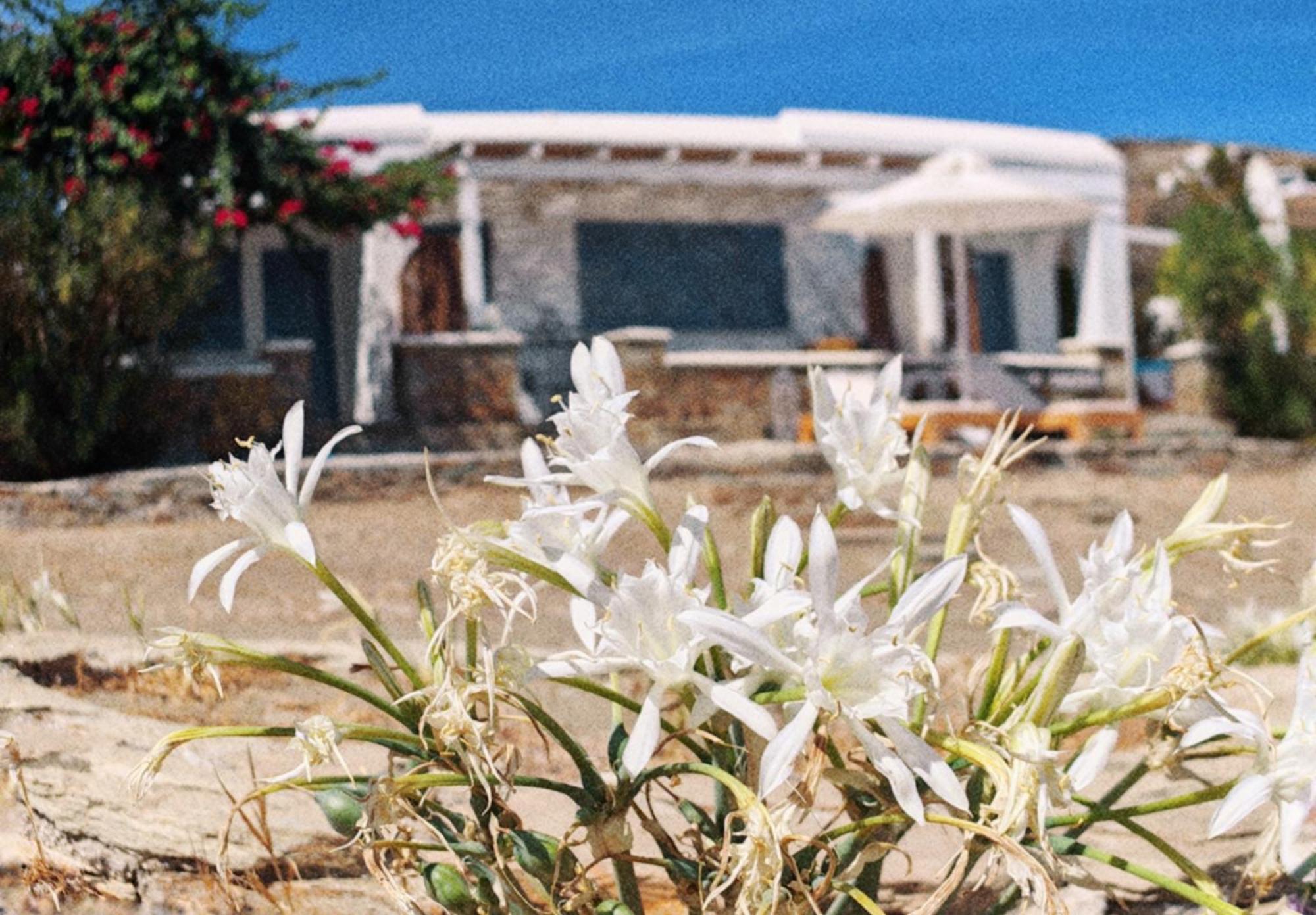 Diana'S Luxury Suites Kíthnos Exterior foto
